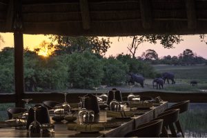 Best_of_Swiss_Gastro_Blog_Blogbeitrag_News_Thanda_Safari_Dinner_with_Elephants